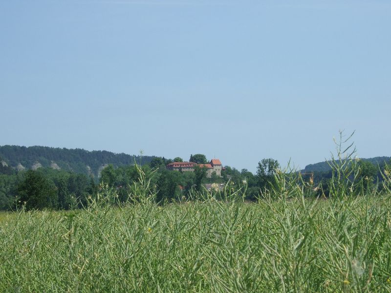 2011- 054.jpg